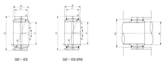 GE300ES-2RS
