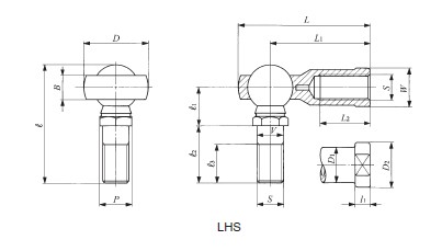 LHS12