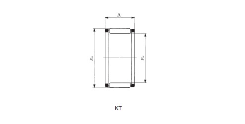 KT909825