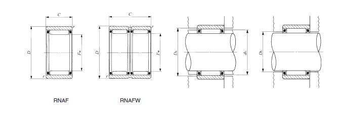 RNAFW709060