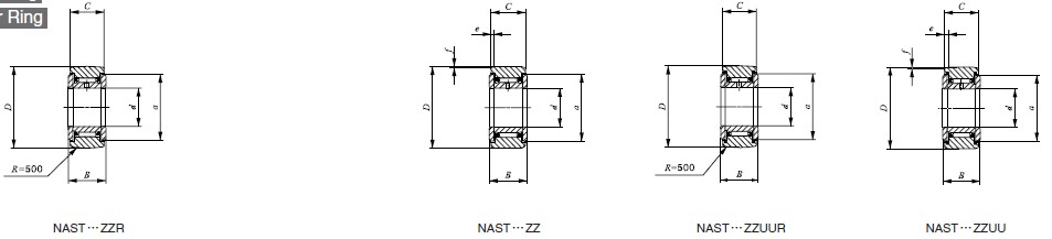 NAST10ZZUU
